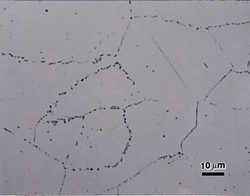 VV-JulyFig2-sm